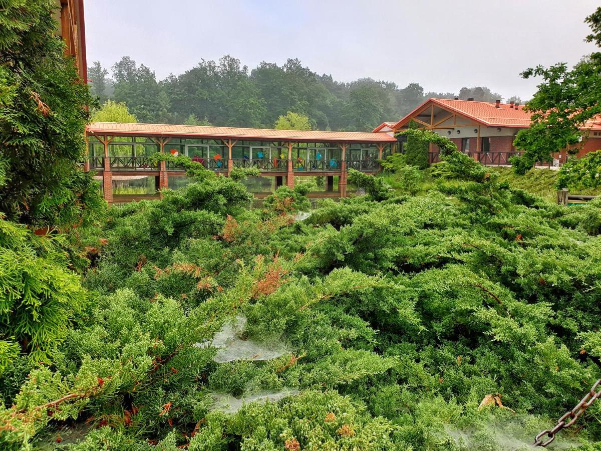 Stacja Nowa Gdynia Bed & Breakfast Aquapark Zgierz Exterior foto
