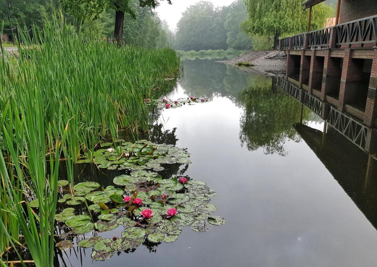 Stacja Nowa Gdynia Bed & Breakfast Aquapark Zgierz Exterior foto