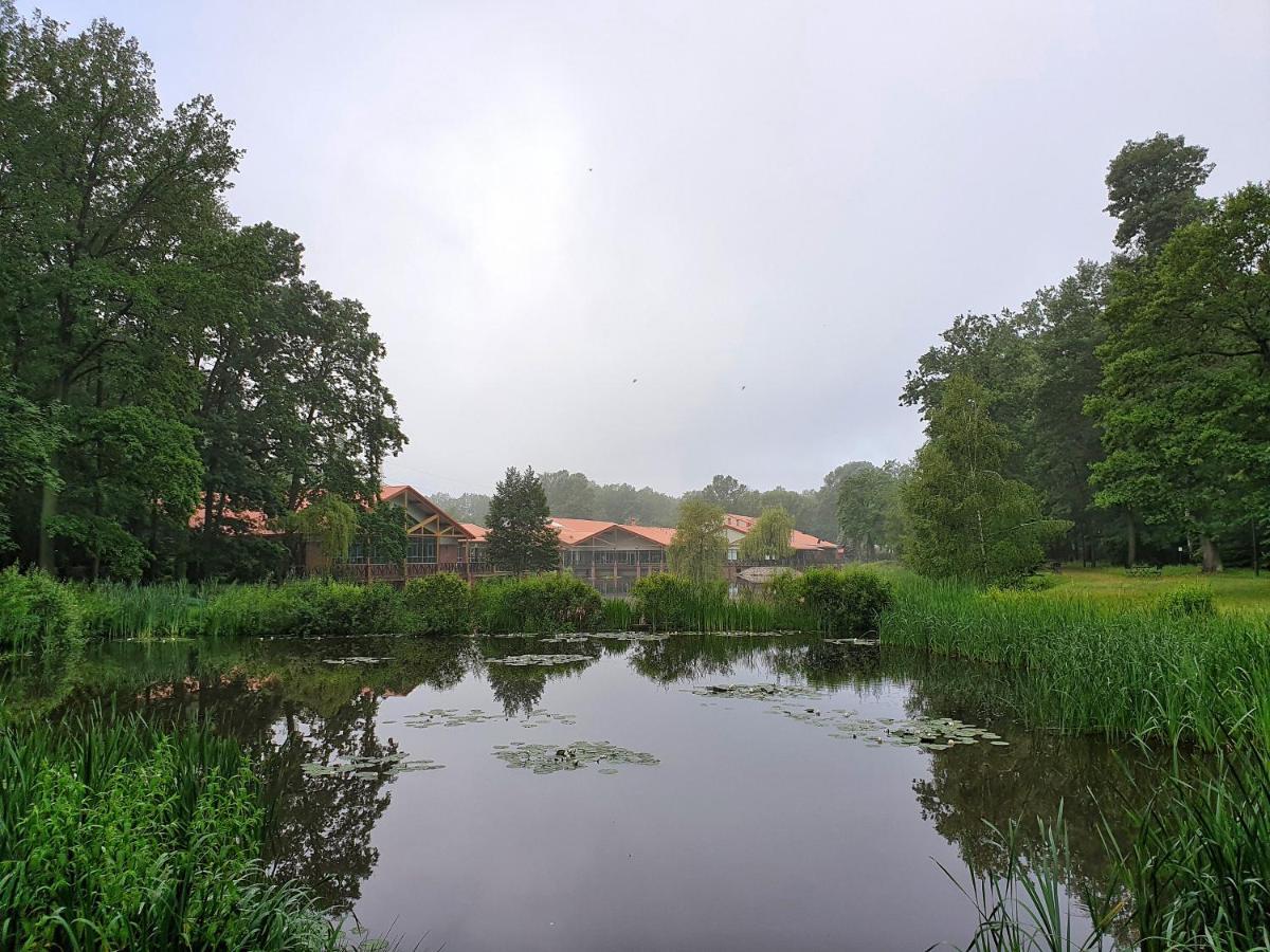 Stacja Nowa Gdynia Bed & Breakfast Aquapark Zgierz Exterior foto