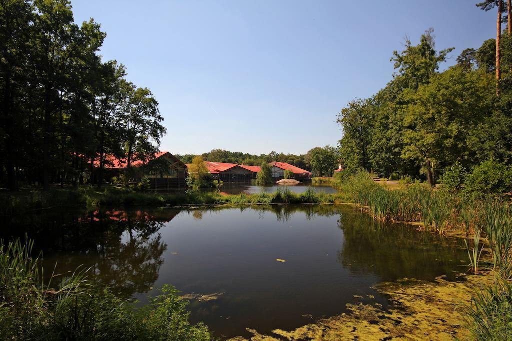 Stacja Nowa Gdynia Bed & Breakfast Aquapark Zgierz Exterior foto